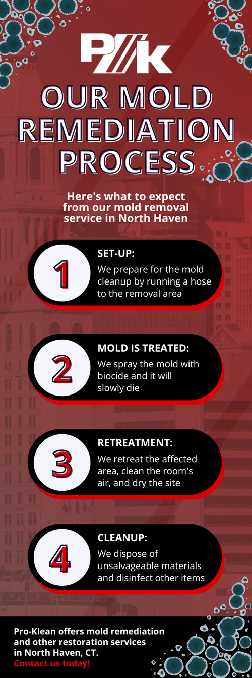 Preventing Mold Growth in Your Home - Pro-Klean